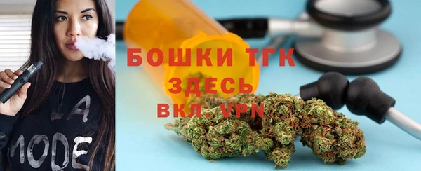 гидра Новозыбков