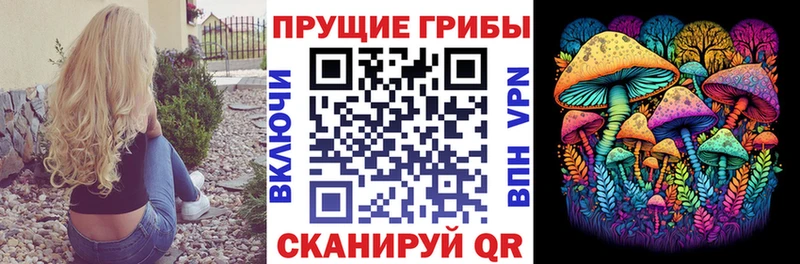 kraken онион  Себеж  Галлюциногенные грибы Psilocybine cubensis  наркота 